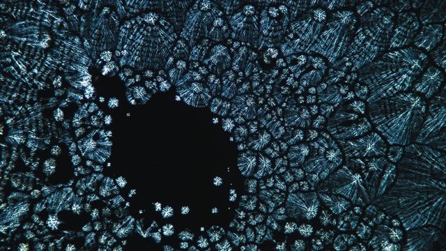 Crystallization. Crystal Growth Chemical Reaction Microscop Timelapse