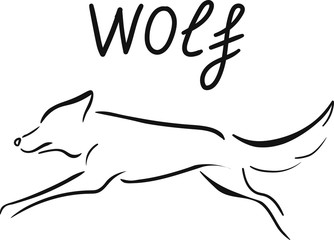 hand drawn vector illustration and  lettering wolf isolated on white background . Concept for logo, print, web design , label
