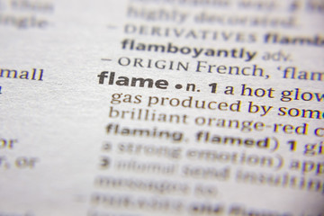 Word or phrase Flame in a dictionary.