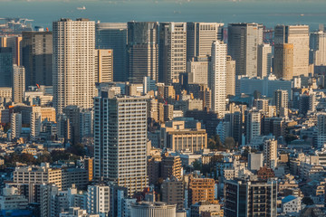 Fototapeta premium 日本,東京の典型的な風景 Scenery of Japan in Tokyo 