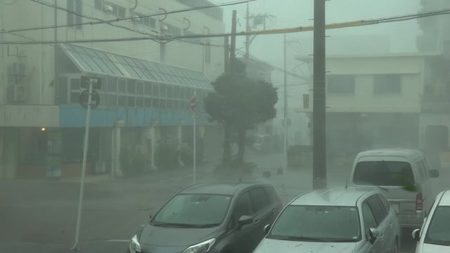 Major Hurricane Strong Wind And Drenching Rain Hit Town - Ling