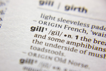 Word or phrase Gill in a dictionary.