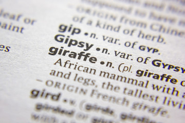 Word or phrase Giraffe in a dictionary.