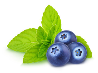 Composition with blueberry and sprig of mint isolated on a white background with clipping path.