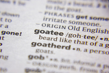 Word or phrase Goatee in a dictionary.