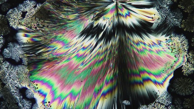 The Formation Of Crystals Under Microscope Timelapse 4K