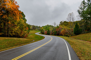 Road with colorful trees