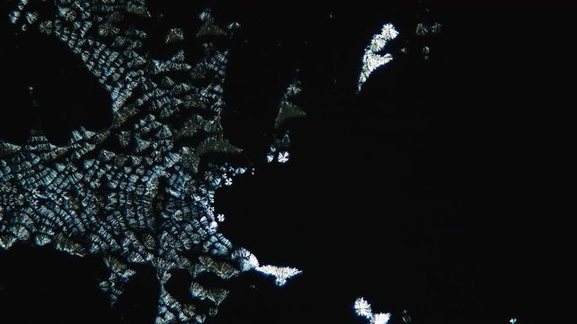 Crystallization. Crystal Growth Chemical Reaction Microscop Timelapse