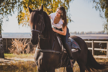Horses concept, hobby with animals, hippotherapy