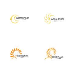 Fototapeta na wymiar Agriculture wheat Logo Template vector icon design