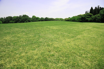 新緑　新緑の芝生広場　新緑の草原　芝生広場　草原 © tenboh siyaraku