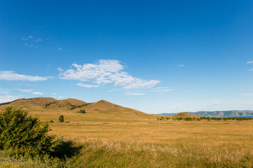 Obraz premium Błękitne niebo z białymi chmurami, drzewami, polami i łąkami z zieloną trawą, na tle gór. Kompozycja natury. Wiejski krajobraz lato.