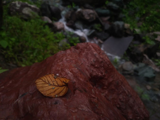 autumn leaf on a red rock and a slope at the bottom