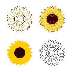 set of sunflowers vector isolated on white background