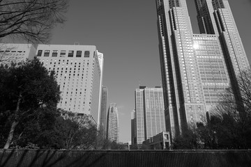 新宿　高層ビル　青空　見上げる　広角　白黒　モノクロ