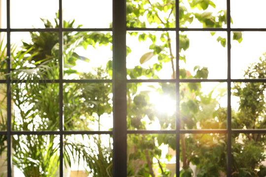 Fototapeta Blurred view through window on garden in morning