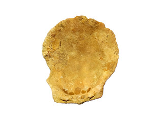 Composition of exotic sea shells on a white background. set of various mollusk shells isolated on white background. Shell, Oyster, Scallop or Keong Tiram, Kerang Laut. Oyster with white background.