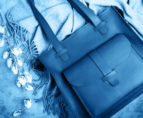 Leather bag toned classic blue color