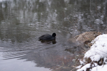 Fototapeta premium Schneelandschaft mit Burg im Hintergrund und See und Wald im Vordergrund am Fernsteinsee in Österreich Tirol 