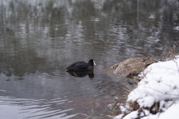 Schneelandschaft mit Burg im Hintergrund und See und Wald im Vordergrund am Fernsteinsee in Österreich Tirol 