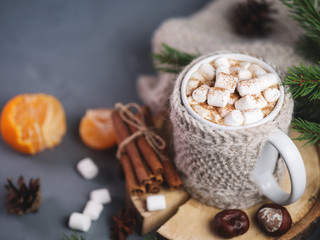 Hot chocolate autumn and winter drink with marshmallows and cinnamon