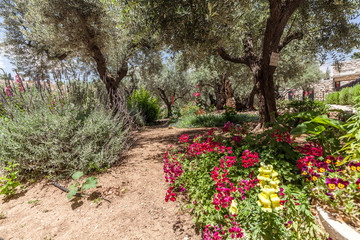 Nice view of garden Gethsemane
