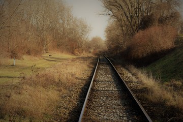 Fototapeta na wymiar Railroad tracks at the countryside