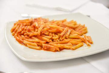 Penne With Tomatoes in the Plate
