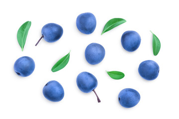 Blackthorn or Sloe berries with leaves isolated on white background. Prunus spinosa. Top view. Flat...