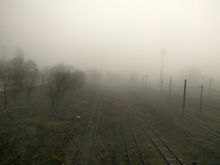 Thick fog and a railroad with trees