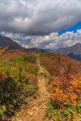 秋の天神峠から谷川岳への登山道からみた風景