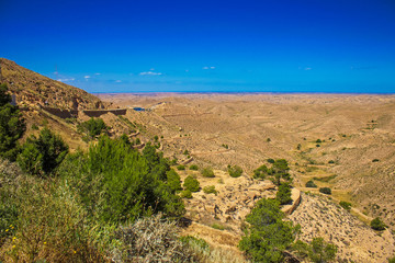 Desert landscape with olive trees near Matmata in the south of Tunisia, North Africa