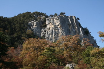 Fototapeta na wymiar rock in the autumn forest against the sky