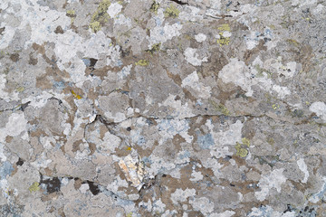 stone background with textured surface and Lichen Moss. Pattern mineral with rough structure and lichen. mountain backdrop. Natural stone surface.