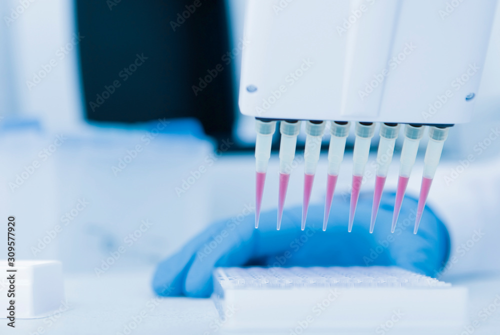 Poster Lab assistant in gloves making scientific experiment with the help of big pipette