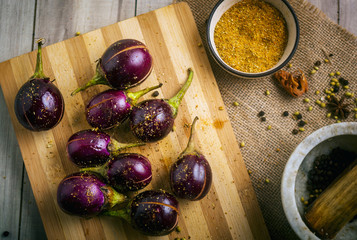 Preparation of stuffed masala baingan or eggplant - an indian recipie
