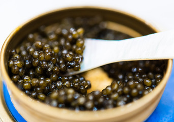 Black sturgeon caviar luxury delicatessen