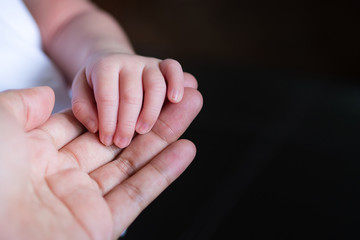 Close-up of newborn baby hand in hand mother
