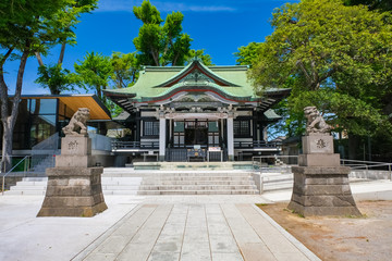 Fototapeta premium 亀有香取神社 拝殿