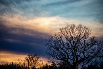 A dramatic sunset over silhouetted trees with orange, gold, and red clouds.