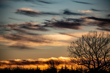 A dramatic sunset over silhouetted trees with orange, gold, and red clouds.
