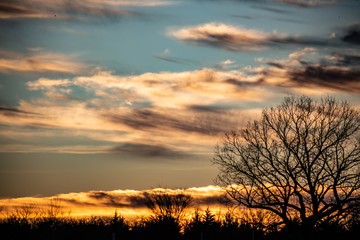 A dramatic sunset over silhouetted trees with orange, gold, and red clouds.