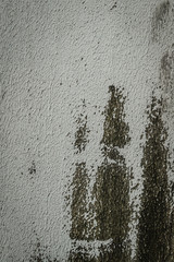 texture of paint on wall