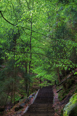 A stone stairway is going up the hill
