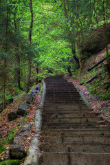 Fototapeta premium A stone stairway is going up the hill