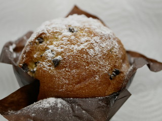One muffin with chocolate sprinkled with powdered sugar as snow on a white background create a Christmas mood.