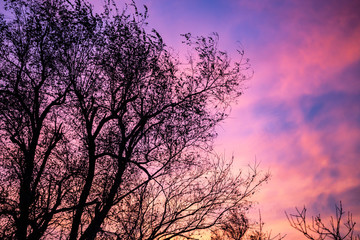 A dramatic sunset over silhouetted trees with orange, gold, and red clouds.