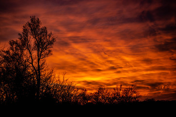 A dramatic sunset over silhouetted trees with orange, gold, and red clouds.