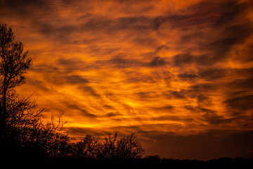 Golden sunset over a rural landscape and countryside with trees silhouetted