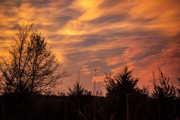 Golden sunset over a rural landscape and countryside with trees silhouetted